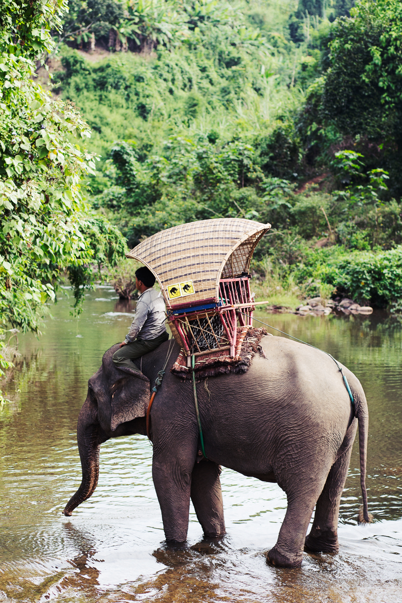 Elephants can drink as much as 50 gallons of water a day, so every opportunity to stop and drink was a welcome one, especially in the intense heat.Tara Rice Photography